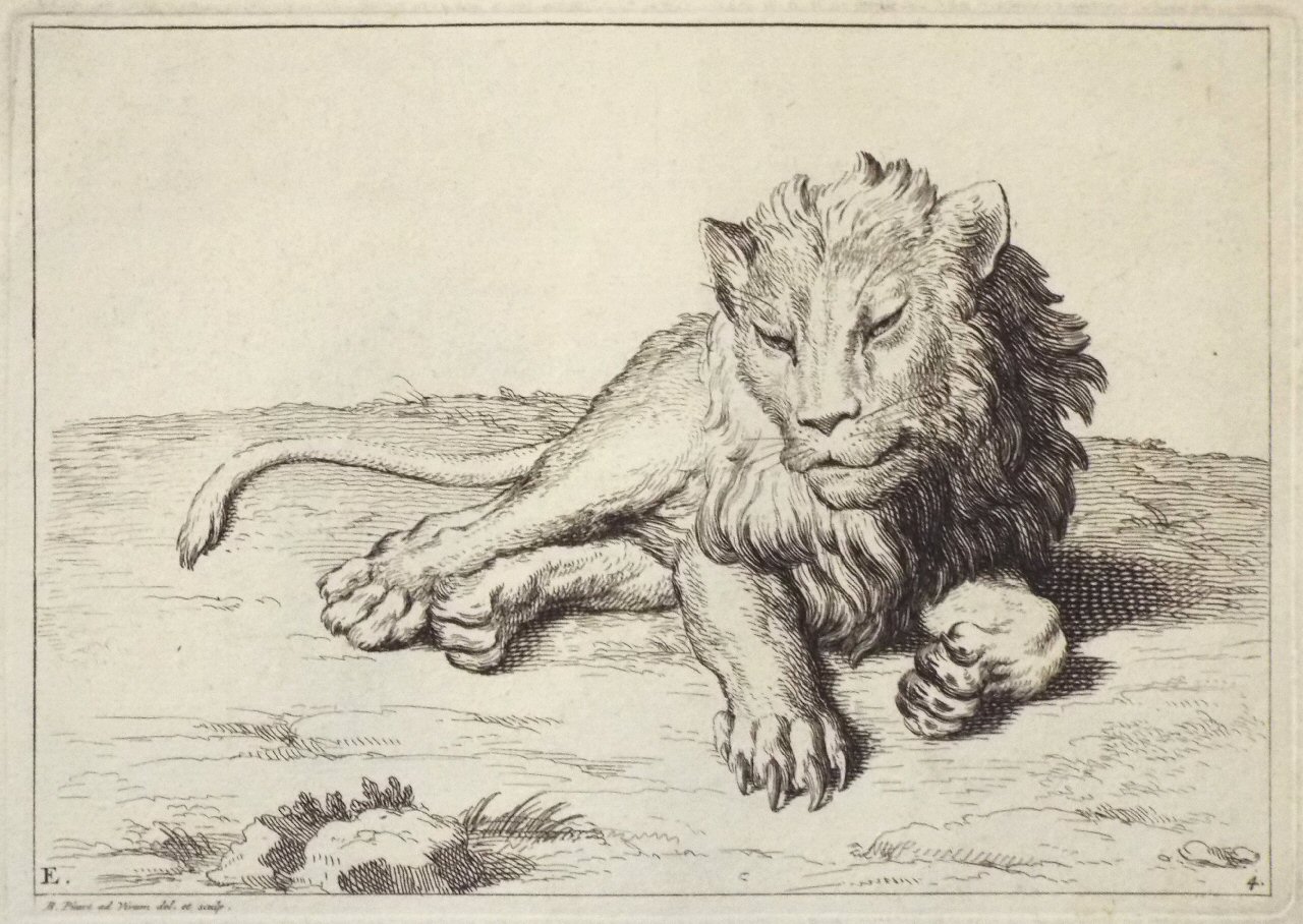 Etching - E. 4. Lion - Picart